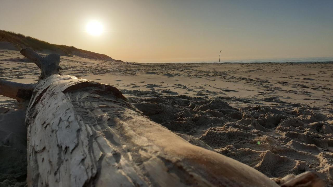Slowinskie Widoki Domki Flora, Fauna, Noclegi سموودجينسكي لاس المظهر الخارجي الصورة