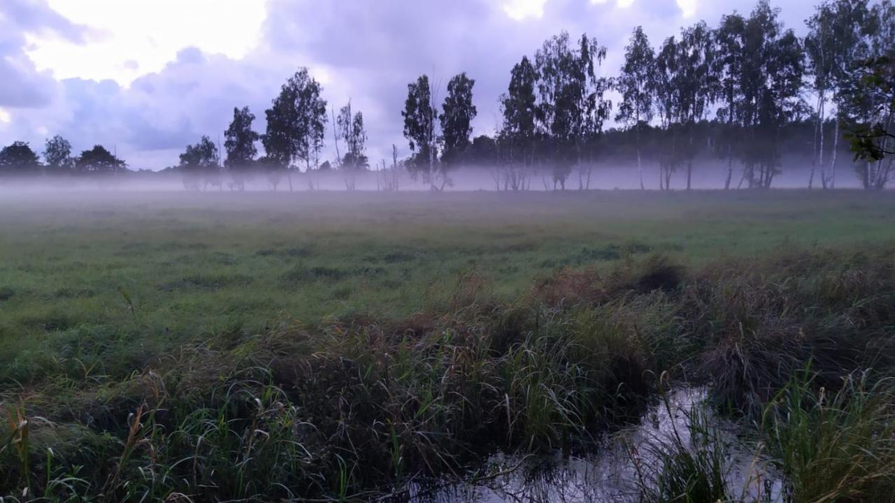 Slowinskie Widoki Domki Flora, Fauna, Noclegi سموودجينسكي لاس المظهر الخارجي الصورة